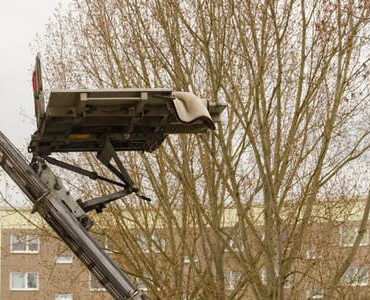 Möbellift in Ratingen: Möbellift zwischen kahlen Bäumen vor einem Gebäude