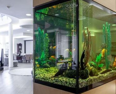 Aquarium-Umzug Ratingen: Großes Aquarium in einem modernen Wohnzimmer
