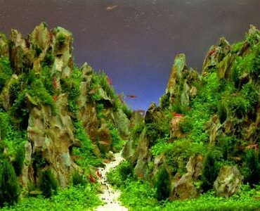 Aquarium-Umzug Ratingen: Aquarium mit Felslandschaft und Pflanzen